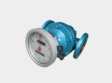 W-G200 Oval gear flowmeter