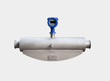 W-CM250S coriolis mass flowmeter