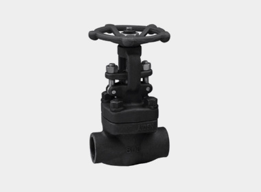 FORGED STEEL GLOBE VALVE