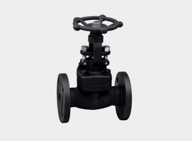 API FORGED FLANGE GLOBE VALVE