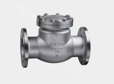 DIN FLANGE STAINLESS STEEL SWING CHECK VALVE