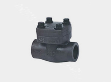 FORGED STEEL LIFT CHECK VALVE